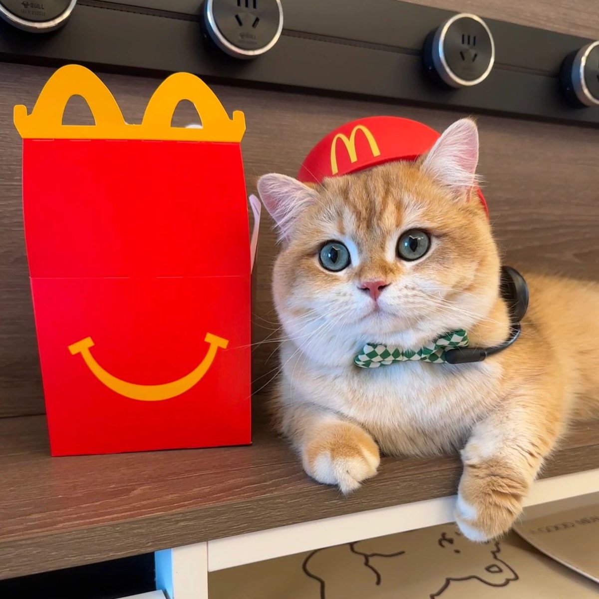 PETSPETSCS's tweet photo. Cute
💗
I'm working at McDonald's today ~🐾

· Wait ·
🐶 SHOP NOW 🐱 LINK IN MY BIO ⬆️ Shiping ✈️🚢🌍

#petspets #mcdonalds #pet #cat #dog #kitty #puppy #today #cute https://t.co/vIvdTfBFOx