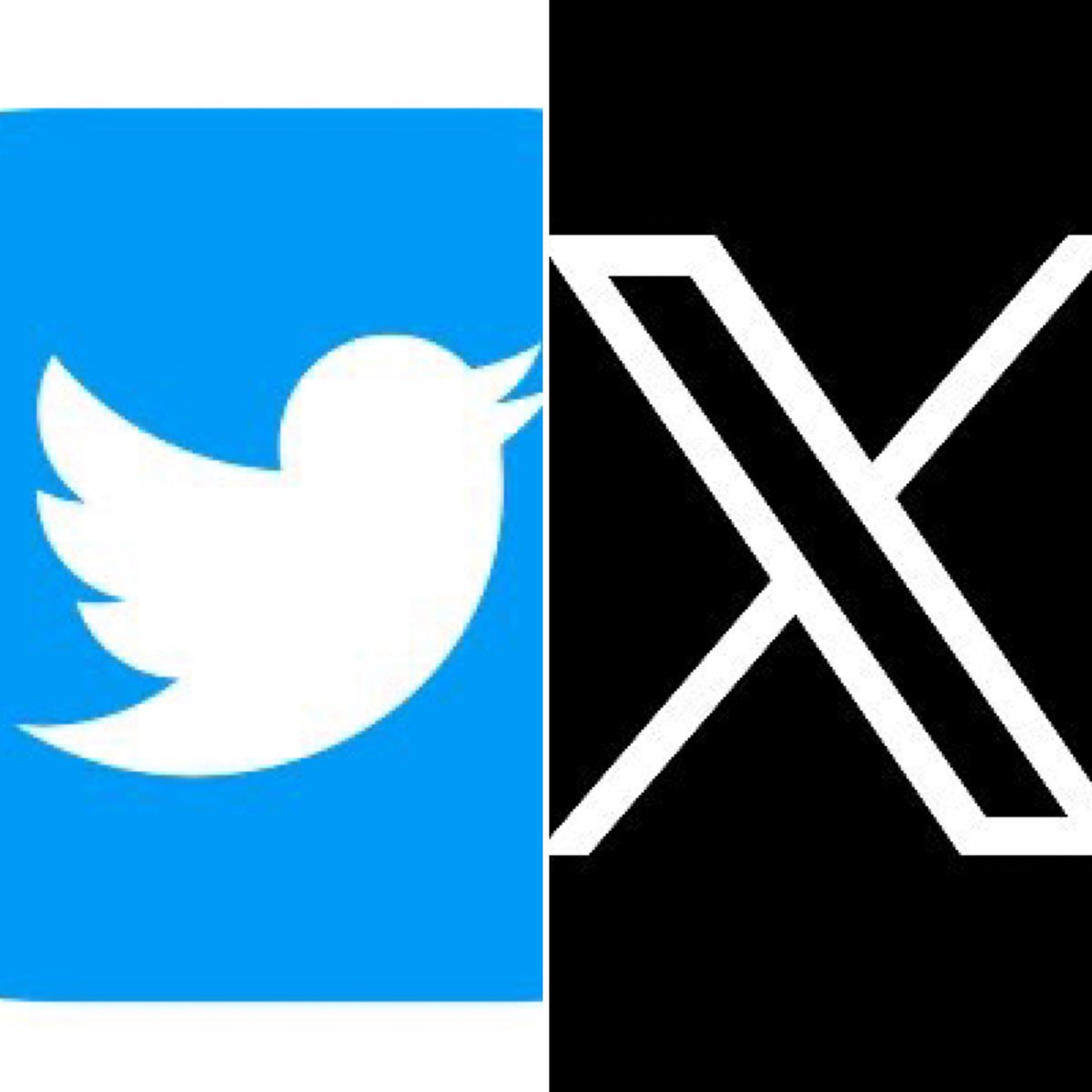 Bye Bye [CHIRPBIRDICON]

#RIP[CHIRPBIRDICON]
#TwitterX #TwitterLogo #Twitter  

The transition!

@Twitter @TwitterBlue @TwitterBusiness