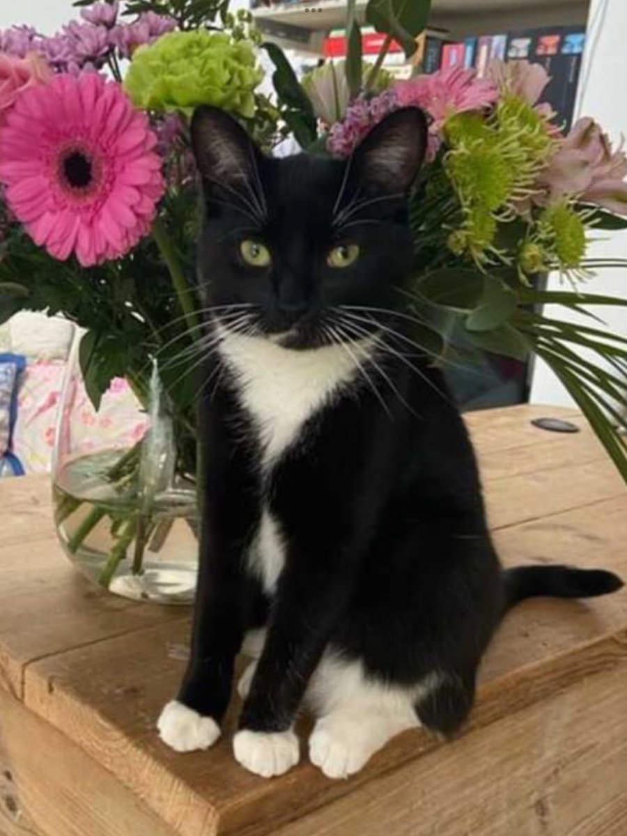 Droopyandthegang tweet media