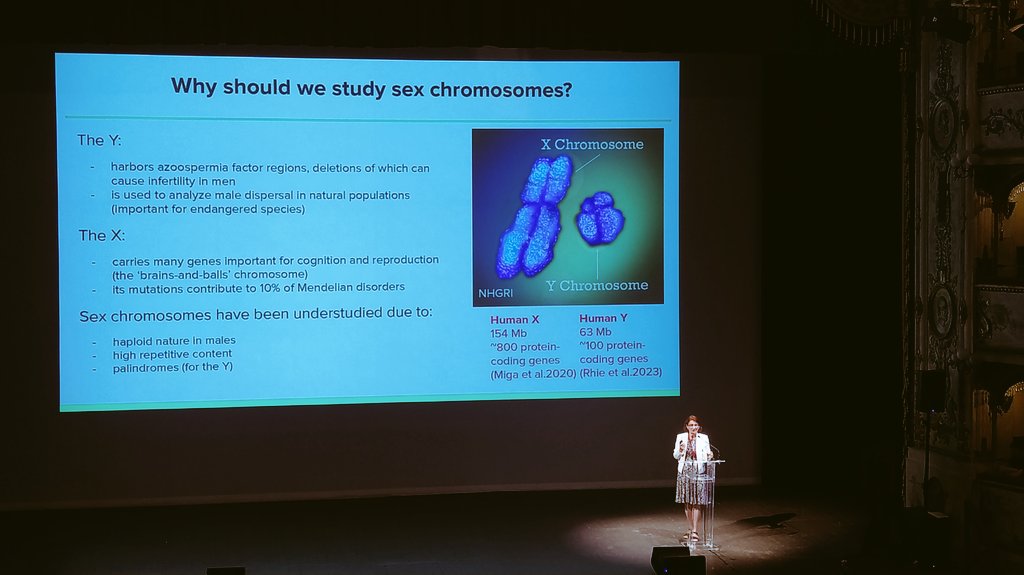 CristianaMarques tweet media