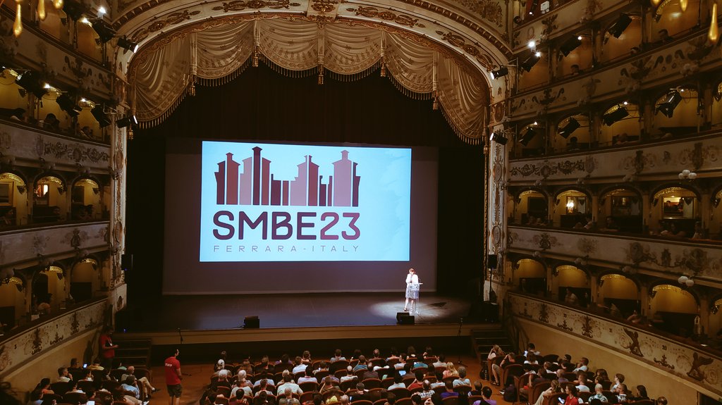 CristianaMarques tweet media