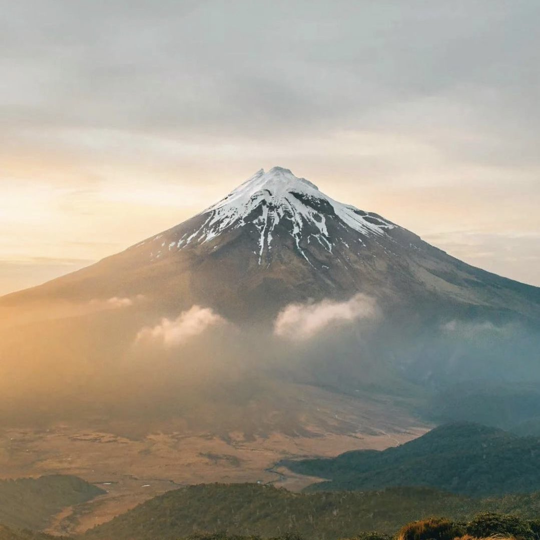 Le Média Positif 🍀 tweet media
