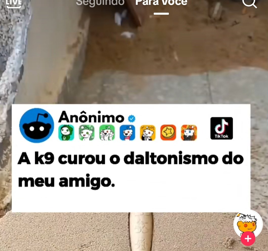 GabiPeness's tweet photo. Tão me dando ideia errada😨😨 https://t.co/k4esB7uu2y