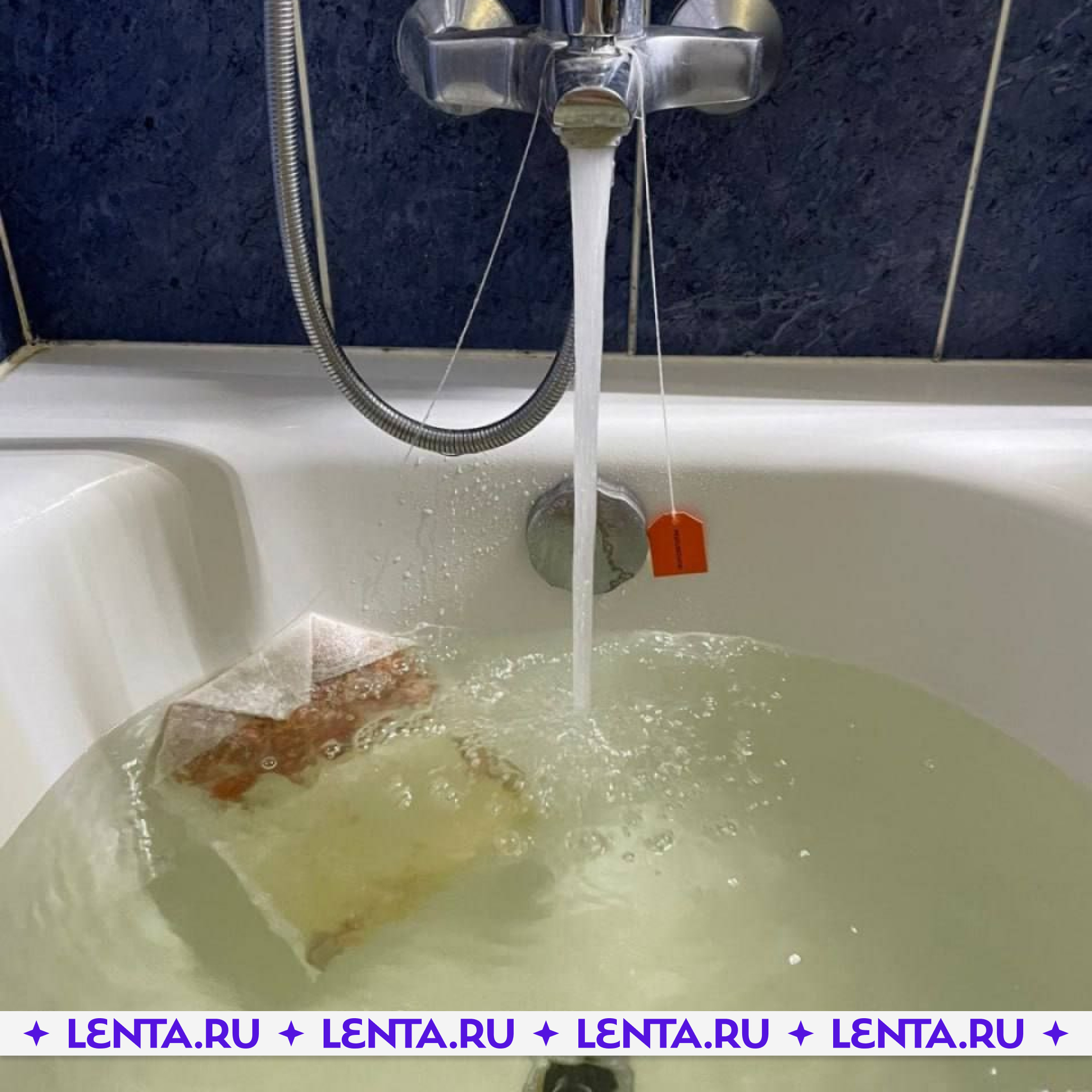 Лента.ру on Twitter: "В сети нашли огромные чайные пакетики для ванной ...