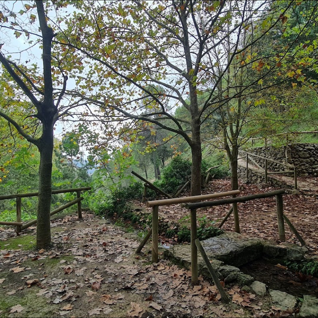AssSerraMariola's tweet photo. Montblanc és una àrea recreativa d’Agres amb zones de pícnic i un refugi de muntanya. Des d’ací s'accedeix a l’àrea del Molí Mató, amb la font del mateix nom💦. El lloc està declarat microreserva de flora i és una destinació de famílies i excursionistes
https://t.co/0lI6fSuNZk https://t.co/M5cqNhvJ5d