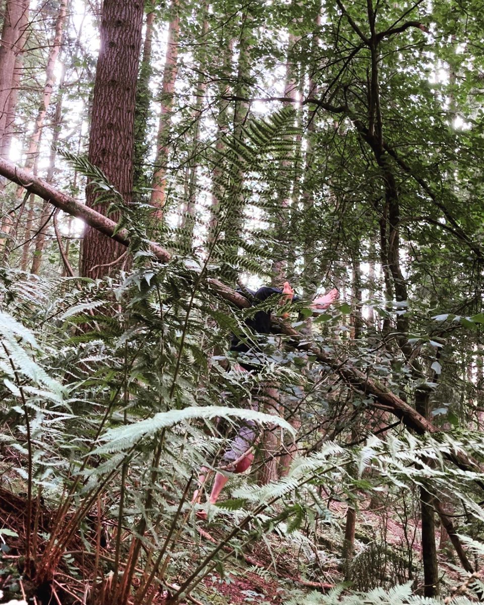 Arrived in the forest for Edens Cave’s The Gathering: Earth Movement Lab