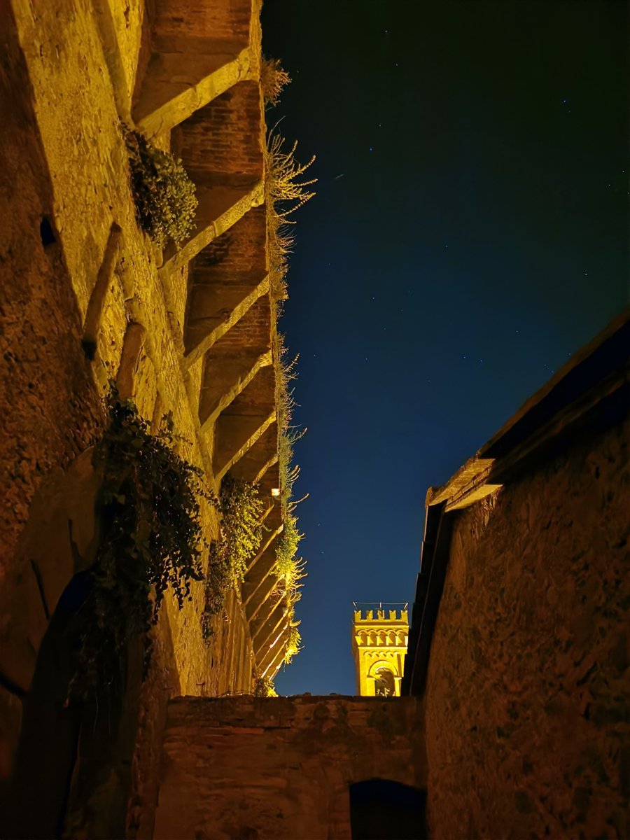 Lorenzo Fragiacomo tweet media