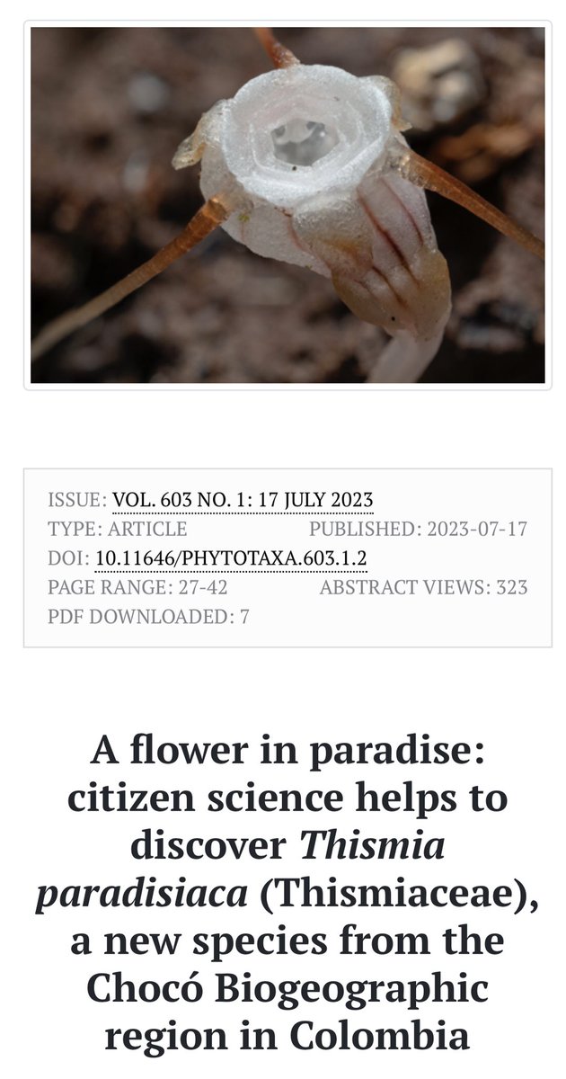 Sergio Chozas (@chozas_sergio) on Twitter photo A new plant species found thanks to #citizenscience <a href="/inaturalist/">iNaturalist</a> <a href="/inaturalist/">iNaturalist</a>
obrigado <a href="/kikoteixeira/">kiko teixeira</a> phytotaxa.mapress.com/pt/article/vie… A new plant species found thanks to #citizenscience <a href="/inaturalist/">iNaturalist</a> <a href="/inaturalist/">iNaturalist</a>
obrigado <a href="/kikoteixeira/">kiko teixeira</a> phytotaxa.mapress.com/pt/article/vie…