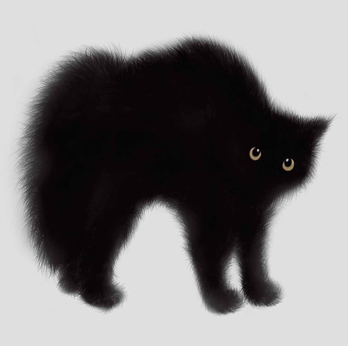 cat no humans animal focus black cat white background simple background looking at viewer  illustration images