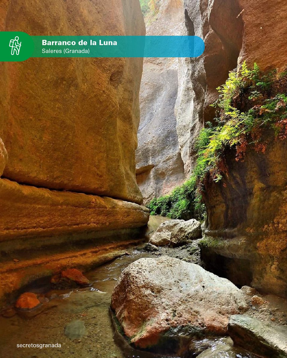 viveandalucia's tweet photo. 😎 Cuando el sol aprieta solo apetece refrescarse:

La ruta del 🌙 Barranco de la Luna, en Saleres, es todo lo que necesitas: agua, sombra y naturaleza.

#ViveAndalucía #DateUnaAlegría https://t.co/0qioACGU9P