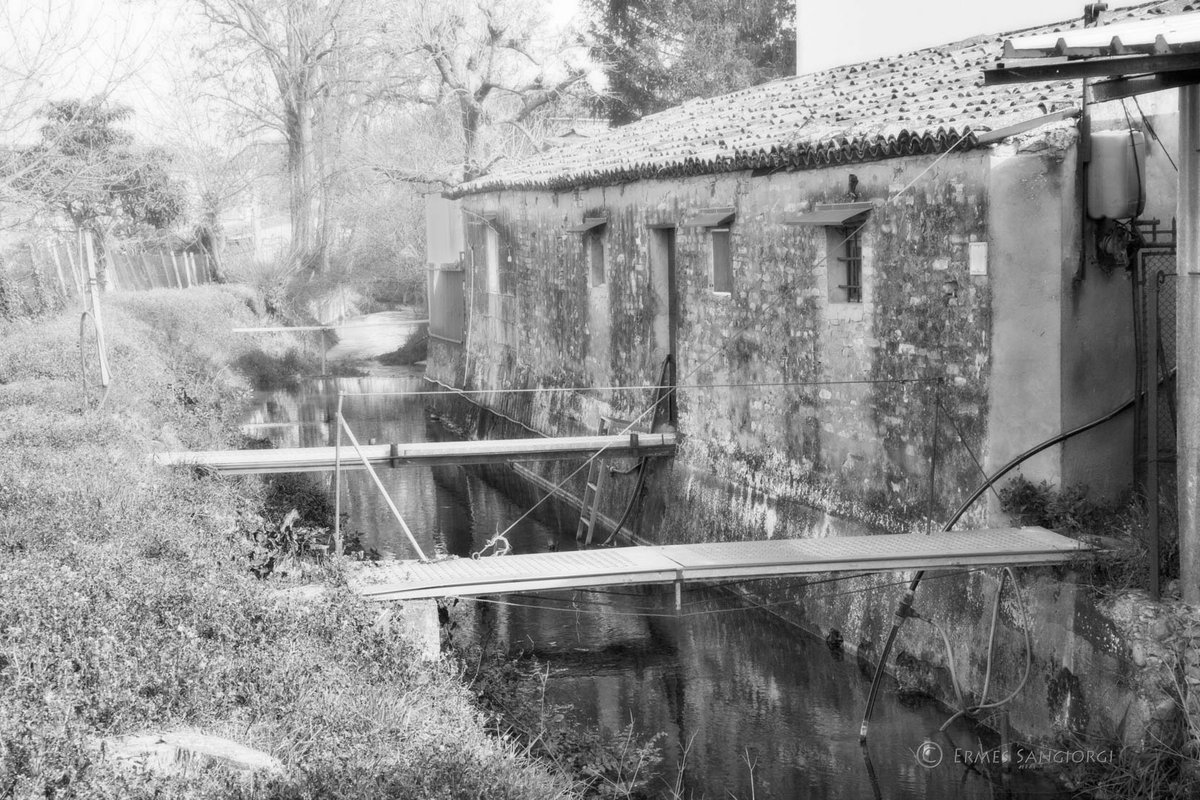The time seems to have stood still for the thousand-year-old mill canal
#bnphotography #emiliaromagna #Italianlandscape