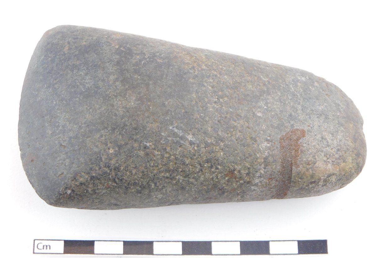 Another interesting object from our #MuseumDocumentation project: a wonderful example of a polished Neolithic greenstone (or epidiorite) axe. Found in Murston, the stone itself comes from the Mount’s Bay area in Cornwall, showing stone age trade links. #archaeology #cataloguing