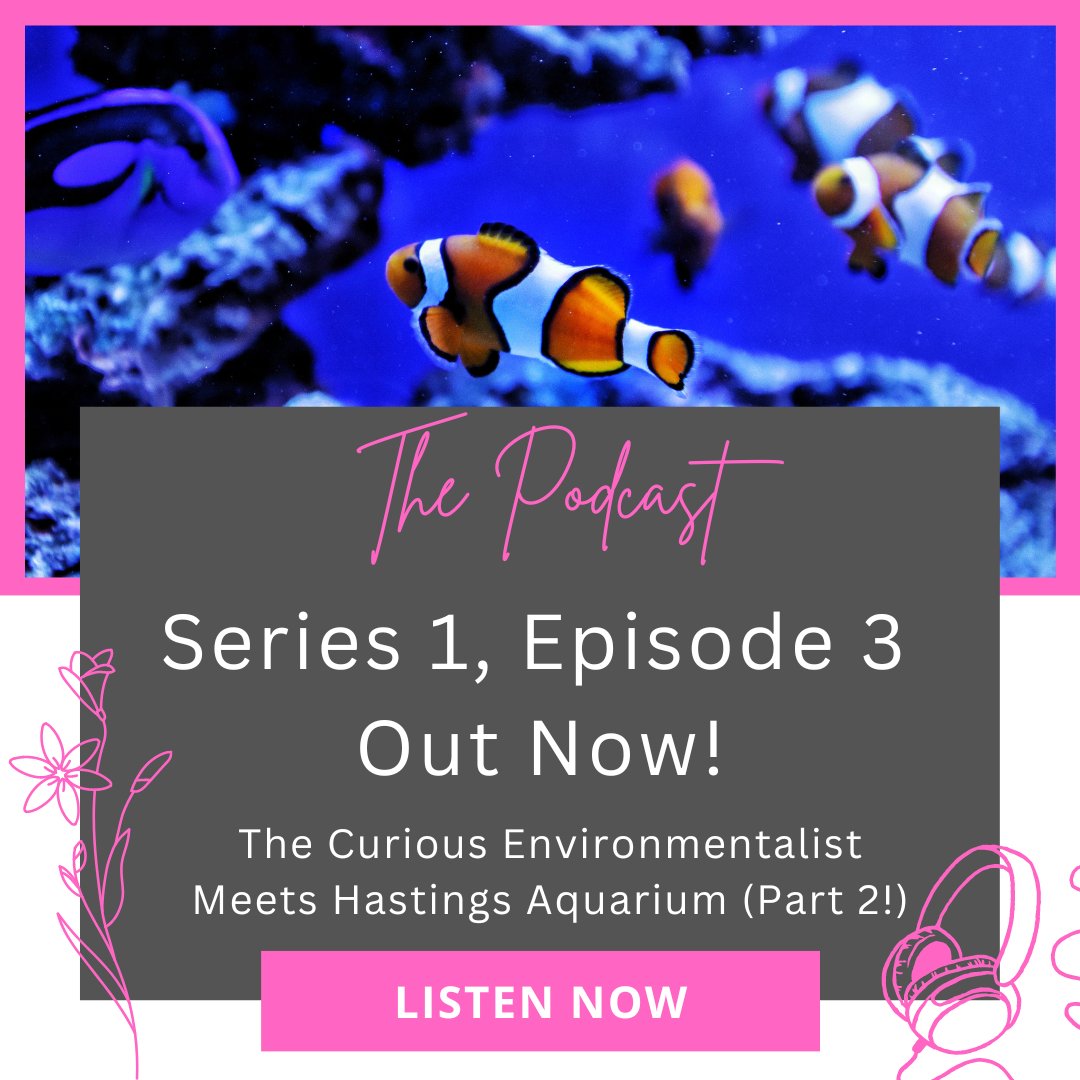 curiousenviron's tweet photo. S1, Ep3 of The Curious Environmentalist Podcast is now live! 
You can hear the second half of my interview with Hastings Aquarium and what they think about the conservation value of their work. 
https://t.co/4HrSgU1tBK 
#SciComm #ConservationPodcast #ConservationConversations https://t.co/ZaZJ3NiY0p