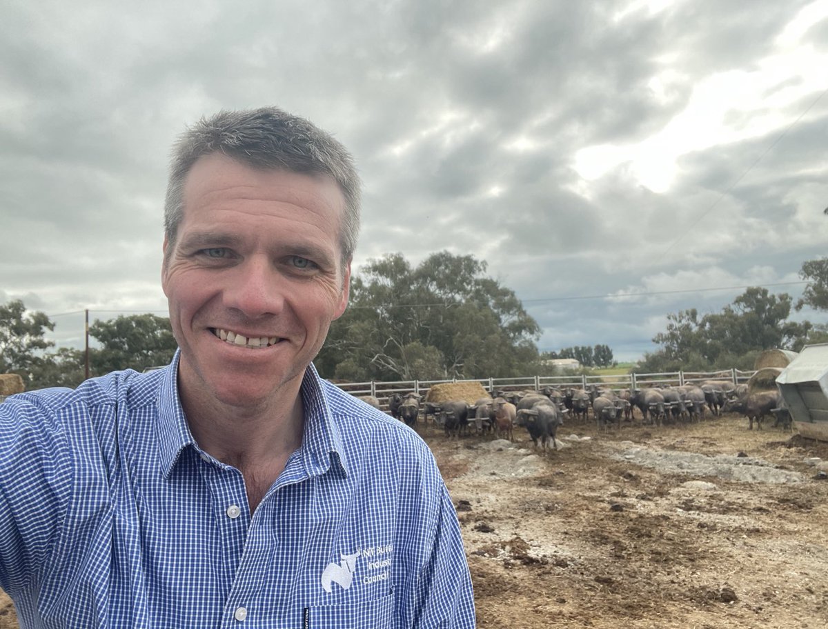 Tom Dawkins tweet media