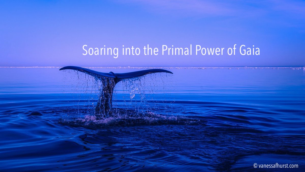 Soaring into the Primal Power of Gaia - mailchi.mp/e0bb1cd919d8/y…