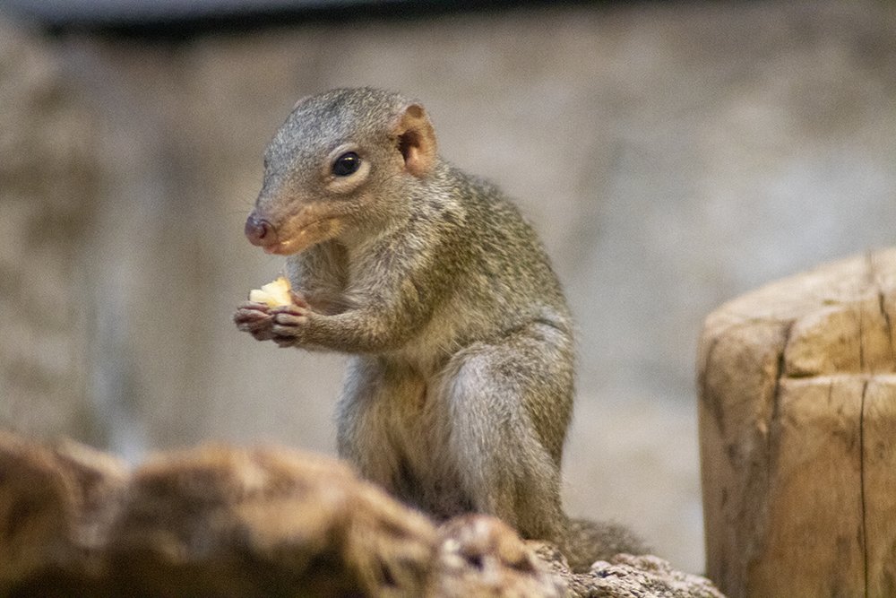 Formaldehyde tweet media