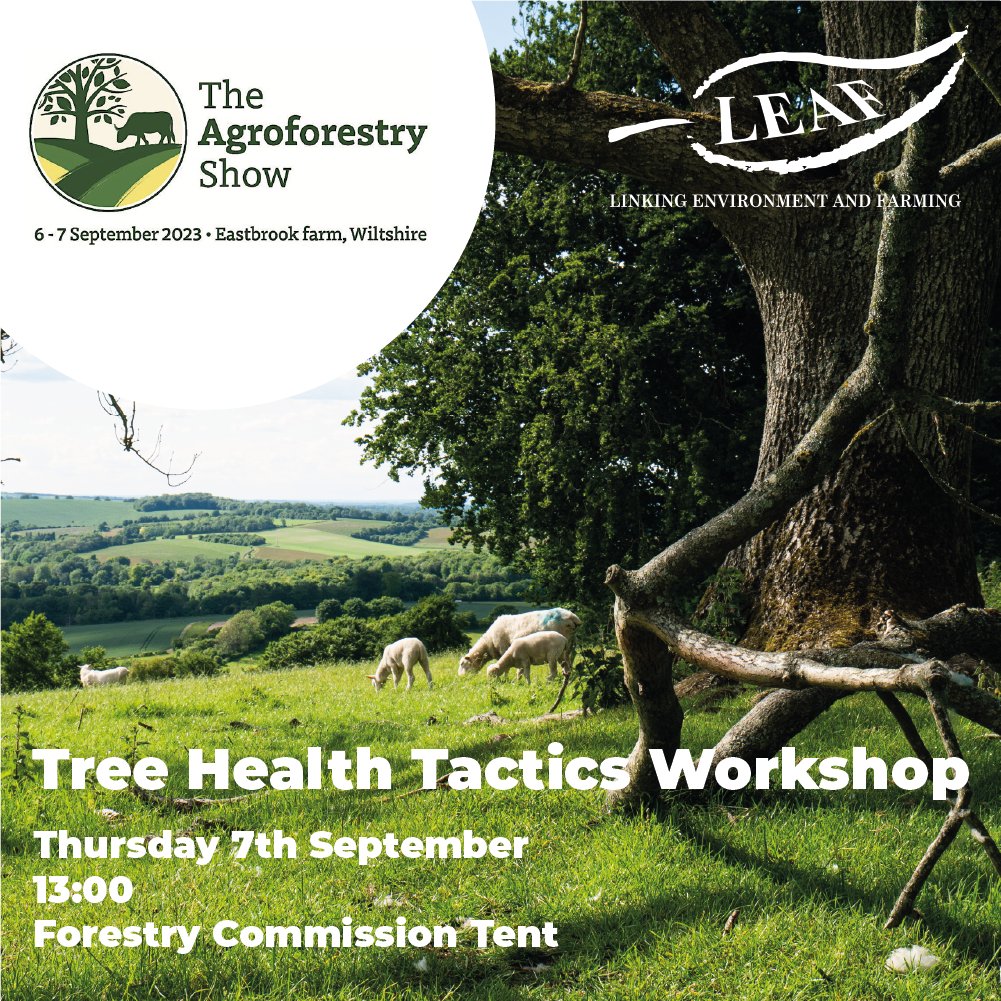 Come and join us at The Agroforestry Show! 🌳🍃🙌

Looking forward to hosting a practical &amp; interactive workshop on tree health tactics. Learn more about how to assess and manage trees on-farm! #SaveFarmTrees #treehealth agroforestryshow.com