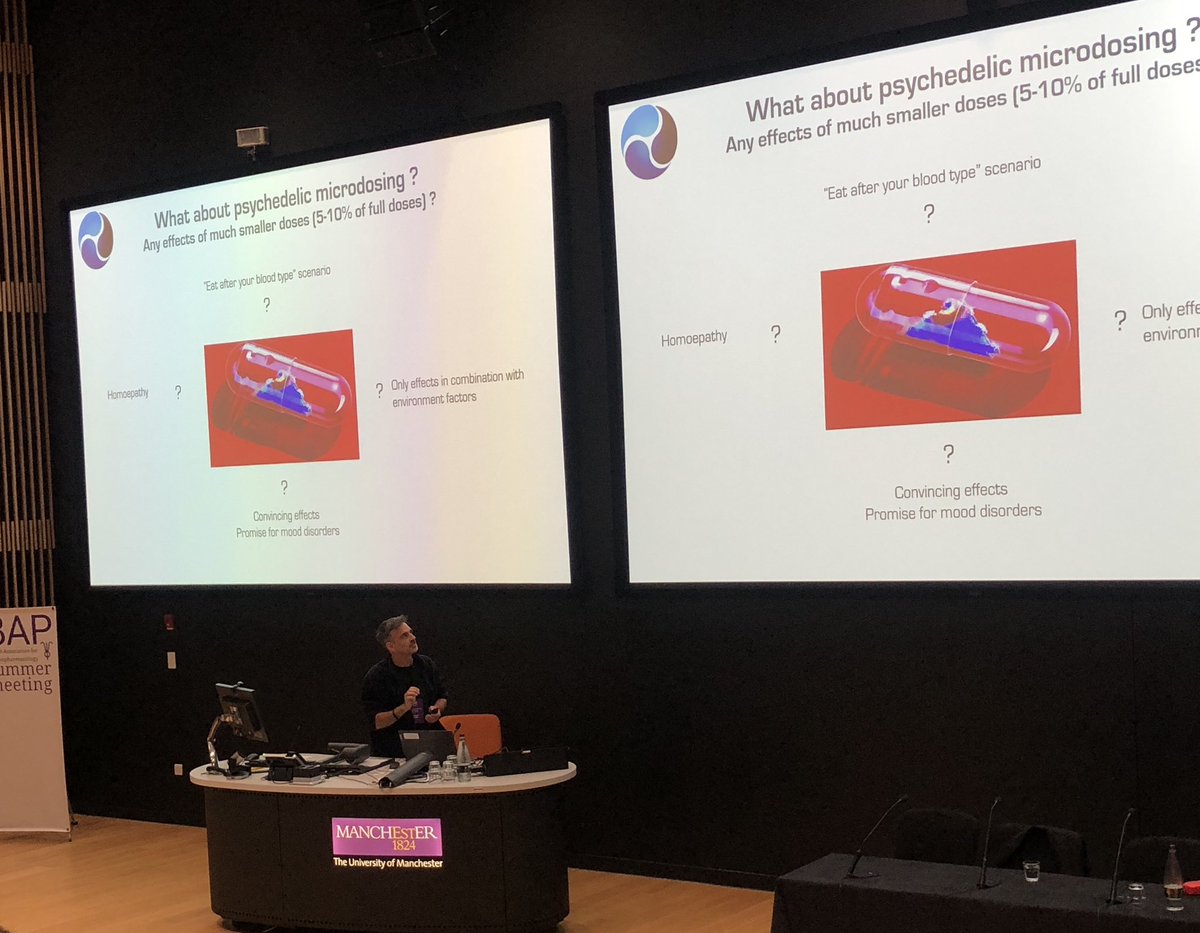 Camilla Nord tweet media