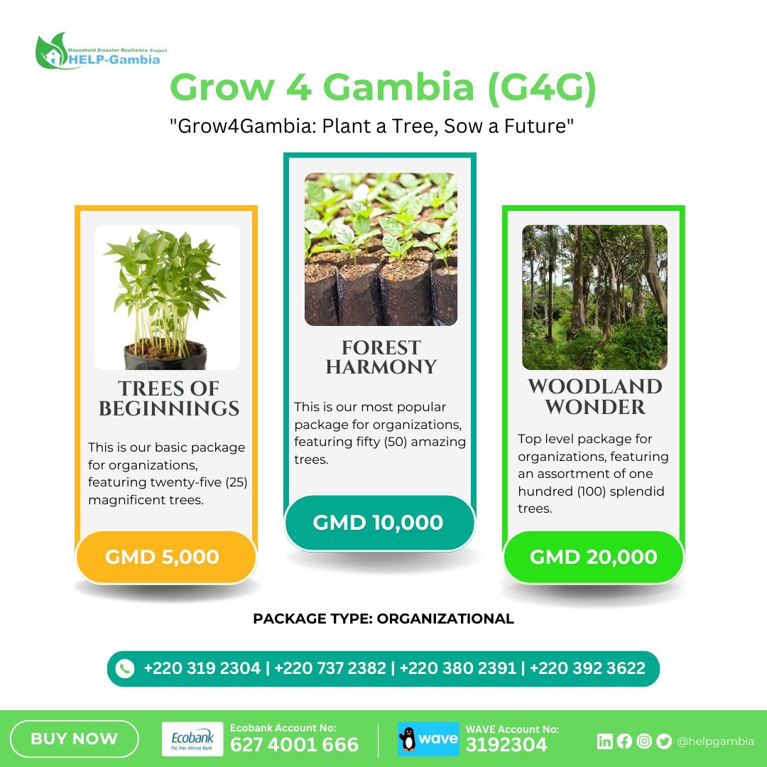helpgambia1's tweet photo. 📢🌱Exciting News!

🌴🙌🏾 Passionate about restoration projects but busy schedules hindering your participation? This summer, meet the perfect solution - "Grow 4 Gambia" 🇬🇲 — a transformative tree planting/growing project for all, making you a #GreenHero 🦸🏽‍♀️🦸🏾🍀. 1/3 https://t.co/92q2TpRI9o