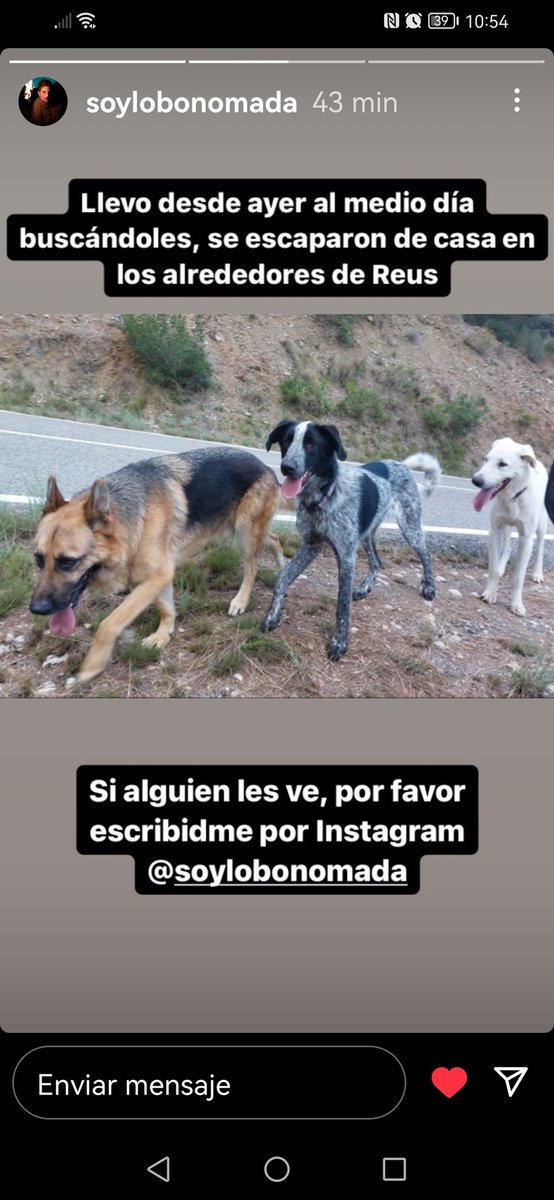 jacamp98's tweet photo. Se buscan !!
Se han perdido por la zona de monte en los alrededores de #Reus
#XarxaTarragonaPerduts
#FemXarxa
Contacto :@soylobonomada en Instagram https://t.co/U5fio3mySY