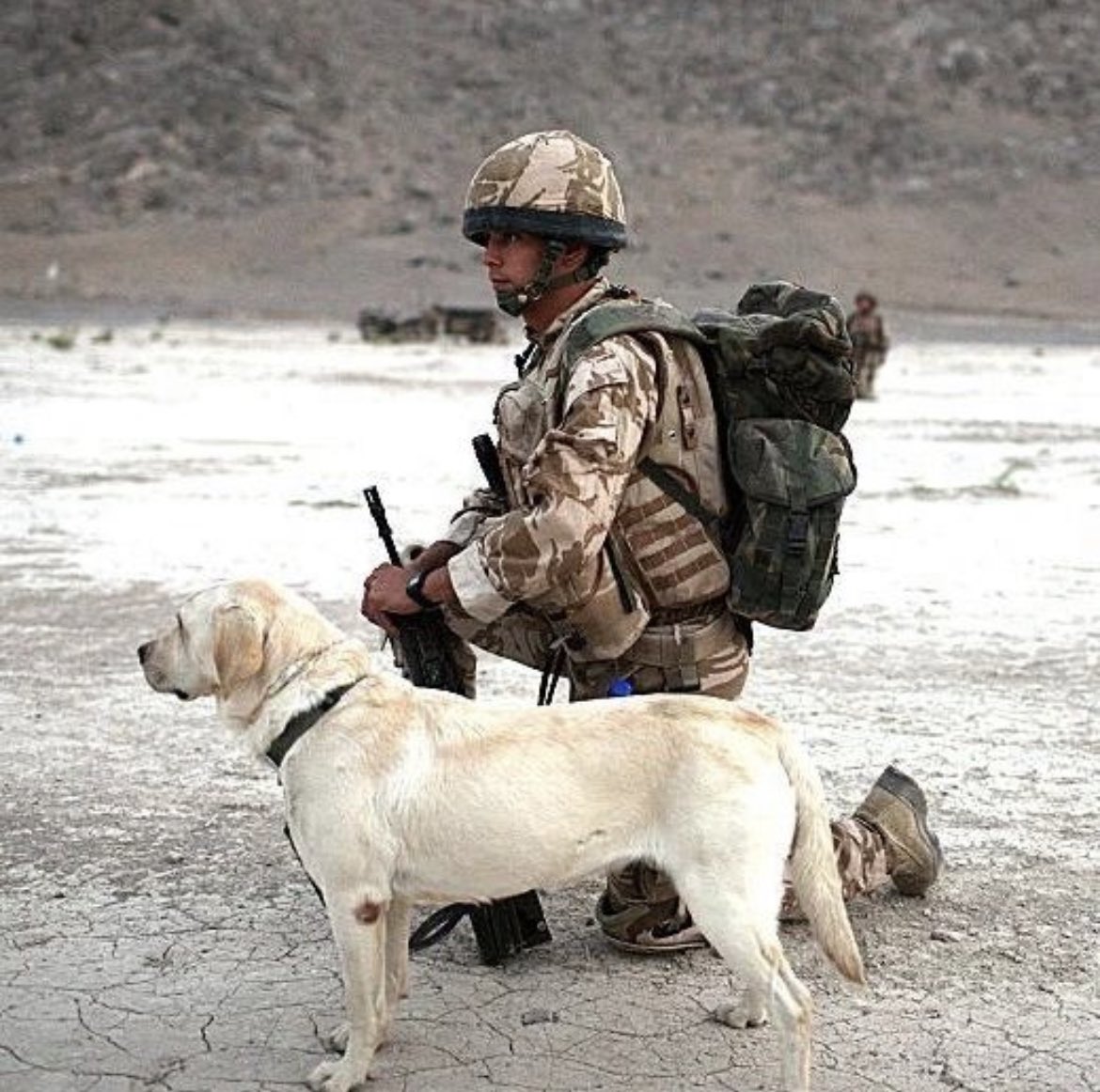 Official_DATR's tweet image. In remembrance; Arms &amp;amp; Explosive Search handler, LCpl Kenneth Rowe &amp;amp; his Military Working Dog (MWD) Sasha, who were both sadly killed on 24 Jul 2008 (Op Herrick, Afghanistan). 

@PDSA_HQ 

#DATR #1MWD #RAVC #2Para #PDSA #MWD #SearchDog #Rememberance
#DickinMedal