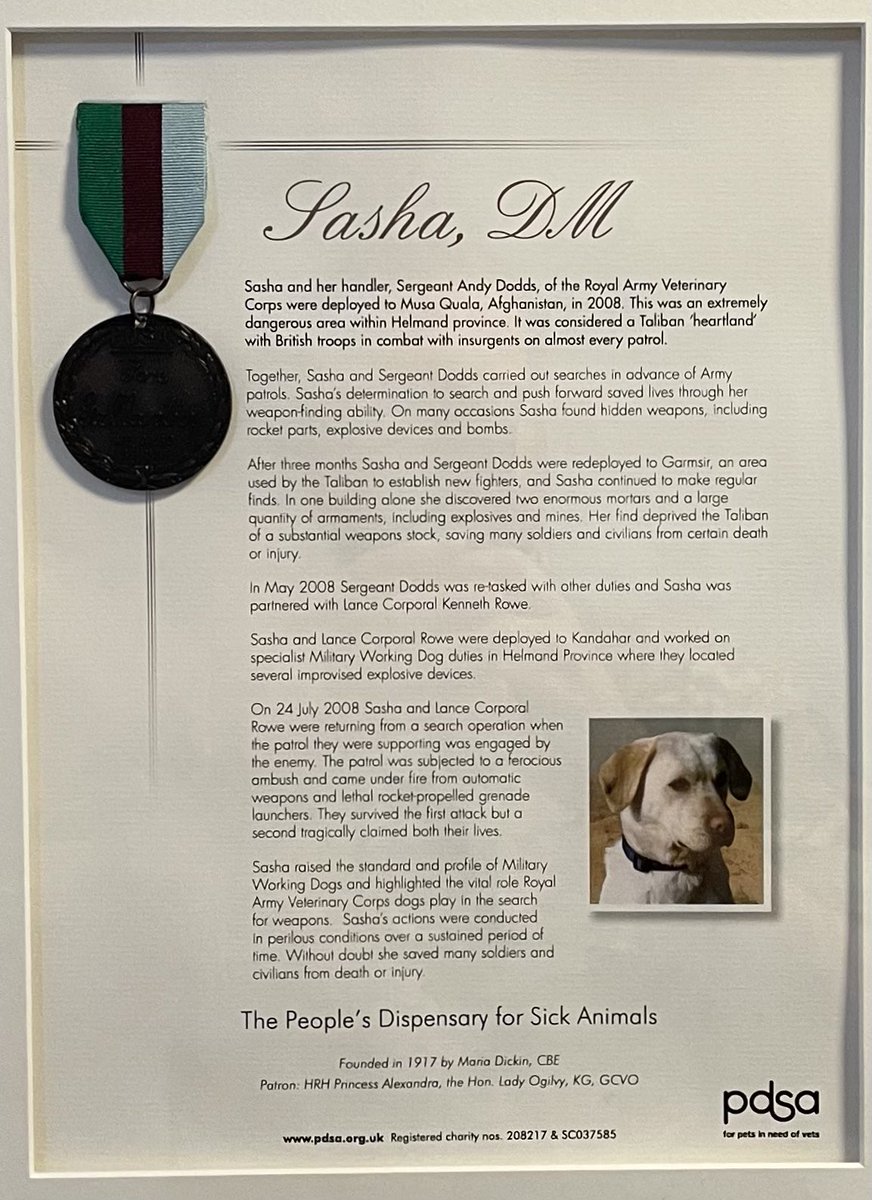 In remembrance; Arms & Explosive Search handler, LCpl Kenneth Rowe & his Military Working Dog (MWD) Sasha, who were both sadly killed on 24 Jul 2008 (Op Herrick, Afghanistan). 

@PDSA_HQ 

#DATR #1MWD #RAVC #2Para #PDSA #MWD #SearchDog #Rememberance
#DickinMedal