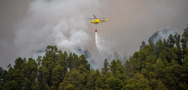IngForestal50's tweet photo. La gestión forestal es la "única posibilidad" de atajar los incendios de sexta generación vía @Ecoavant.com https://t.co/VmokfQnnqp https://t.co/y9itI6HQII