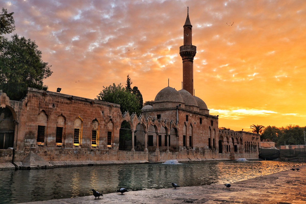 peltek_faruk's tweet photo. #BABASININ ZULMÜNÜ DEVAM ETTİREN ZAT #ŞANLIURFA'DA
BELEDİYE BAŞKANI OLMAYA TALİP !
#HİÇ MERAKLANMA !
SENİ HALKA ANLATMAYA ! #BAŞLIYORUM.
GERÇEKLERİ HALK BİLECEKTİR.
@RTErdogan @AliYerlikaya @erkankandemir @RHisarciklioglu @zabeyazgul @Akparti @HalefKirboga @salih_kirboga . https://t.co/PHbFMqgF2z