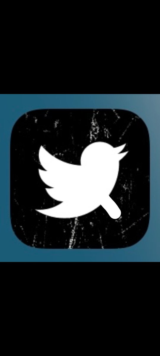 Ysabeluna's tweet photo. ...aww John poor birdie @TheSupercargo  dunno why @elonmusk is ditching it ...it's this platform"s identity.
the "https://t.co/jOMTKCuZlX" doesn't quite compute @beezknez @minibtweet @osmarjardim 
see other suggestions with the twitter birdie👇 https://t.co/FJziQg9Q27