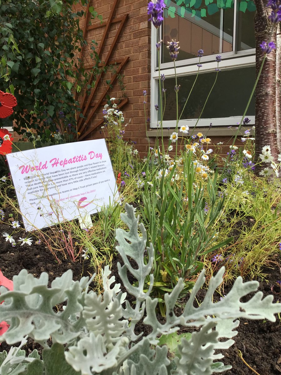 HMP/YOI Kirklevington Grange tweet media