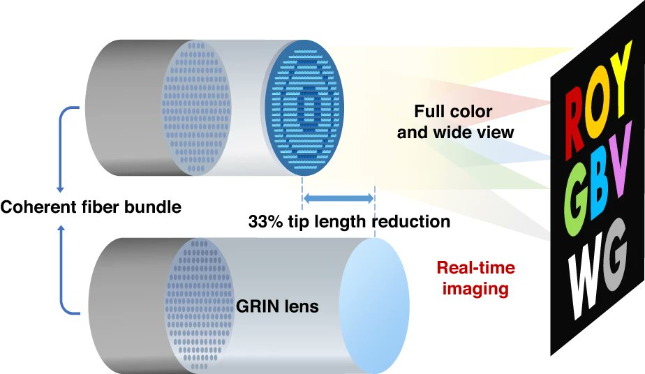 LightSciAppl's tweet image. #LSA_Highlight: [News &amp;amp; Views] Real-time full-color meta fiber endoscopy. @HongKongPolyU #Imaging_and_sensing #Interference_microscopy
www-nature-com.libproxy1.nus.edu.sg/articles/s4137…