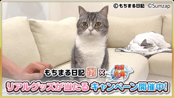 kot_510's tweet photo. 抽選でコラボグッズが当たる！ゲームに隠れたもち様を探そう！今回はこのもち様を見つけたよ
https://t.co/B37ADrsRdU

#もちまる炎舞 #戦国炎舞 https://t.co/p90xxtvkz7