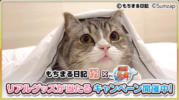 kot_510's tweet photo. 抽選でコラボグッズが当たる！ゲームに隠れたもち様を探そう！今回はこのもち様を見つけたよ
https://t.co/B37ADrsRdU

#もちまる炎�� #戦国炎舞 https://t.co/xHBJ5YPvtH