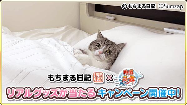 kot_510's tweet photo. 抽選でコラボグッズが当たる！ゲームに隠れたもち様を探そう！今回はこのもち様を見つけたよ
https://t.co/B37ADrsRdU

#もちまる炎舞 #戦国炎舞 https://t.co/6XkphbvW0Y