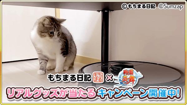 kot_510's tweet photo. 抽選でコラボグッズが当たる！ゲームに隠れたもち様を探そう！今回はこのもち様を見つけたよ
https://t.co/B37ADrsRdU

#もちまる炎舞 #戦国炎舞 https://t.co/kkpP9CKCtr