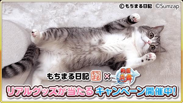 kot_510's tweet photo. 抽選でコラボグッズが当たる！ゲームに隠れたもち様を探そう！今回はこのもち様を見つけたよ
https://t.co/B37ADrsRdU

#もちまる炎舞 #戦国炎舞 https://t.co/myRhzZG6r5