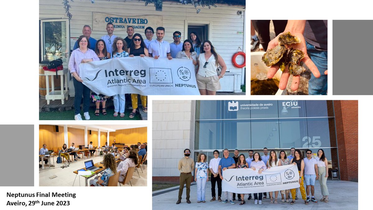 NEPTUNUS (@neptunusproject) on Twitter photo 🆕Neptunus Project <a href="/AtlanticArea/">Interreg Atlantic Area</a>
🚢Last 29th June <a href="/UnivAveiro/">Universidade Aveiro</a> hosted the final meeting of Neptunus
🐟Main outcomes of the project were shown and discussed
🦪Neptunus partners had the opportunity to visit the facilities of Ostraveiro
➡️More info neptunus-project.eu/neptunus-proje… 🆕Neptunus Project <a href="/AtlanticArea/">Interreg Atlantic Area</a>
🚢Last 29th June <a href="/UnivAveiro/">Universidade Aveiro</a> hosted the final meeting of Neptunus
🐟Main outcomes of the project were shown and discussed
🦪Neptunus partners had the opportunity to visit the facilities of Ostraveiro
➡️More info neptunus-project.eu/neptunus-proje…