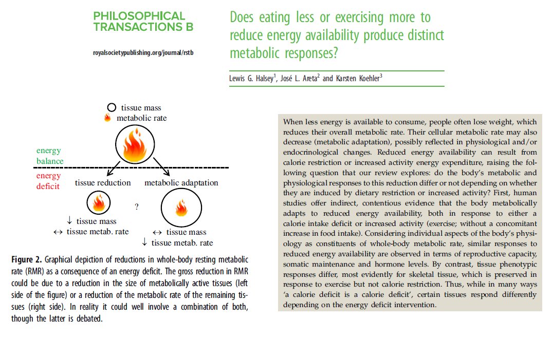 Lewis Halsey (@lewis_halsey) on Twitter photo We can lose #weight by eating less or by #exercising more. Given that both approaches reduce energy availability, shouldn't they result in the same metabolic responses? Colleagues <a href="/jlAreta/">José L Areta</a> and Karsten Koehler reviewed the literature to find out... #metabolism <a href="/royalsociety/">The Royal Society</a> We can lose #weight by eating less or by #exercising more. Given that both approaches reduce energy availability, shouldn't they result in the same metabolic responses? Colleagues <a href="/jlAreta/">José L Areta</a> and Karsten Koehler reviewed the literature to find out... #metabolism <a href="/royalsociety/">The Royal Society</a>
