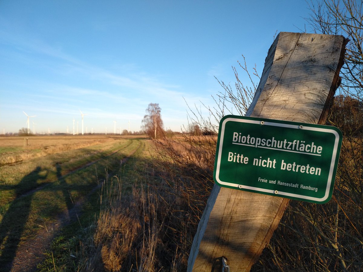 Wir suchen für die <a href="/fhh_umwelt/">UmweltbehördeHH</a> Verstärkung im #Naturschutz in #Hamburg: Wer Lust auf #Artenschutz und #Biotopschutz in der Elb-Metropole hat, findet hier alle Infos zur Bewerbung: stellen.hamburg.de/index.php?ac=j… #Job #Stellenangebot