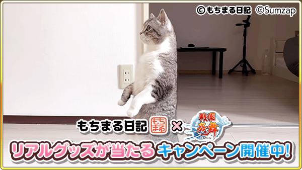 kot_510's tweet photo. 抽選でコラボグッ���が当たる！ゲームに隠れたもち様を探そう！今回はこのもち様を見つけたよ
https://t.co/B37ADrsRdU

#もちまる炎舞 #戦国炎舞 https://t.co/nHRSZbezVM