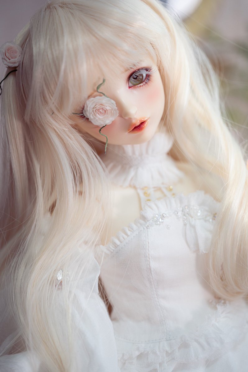 壱子⋆꙳꒰ঌ 放課後 ໒꒱·̩͙ on X: 壱子⋆꙳꒰ঌ 放課後 ໒꒱·̩͙ on X: