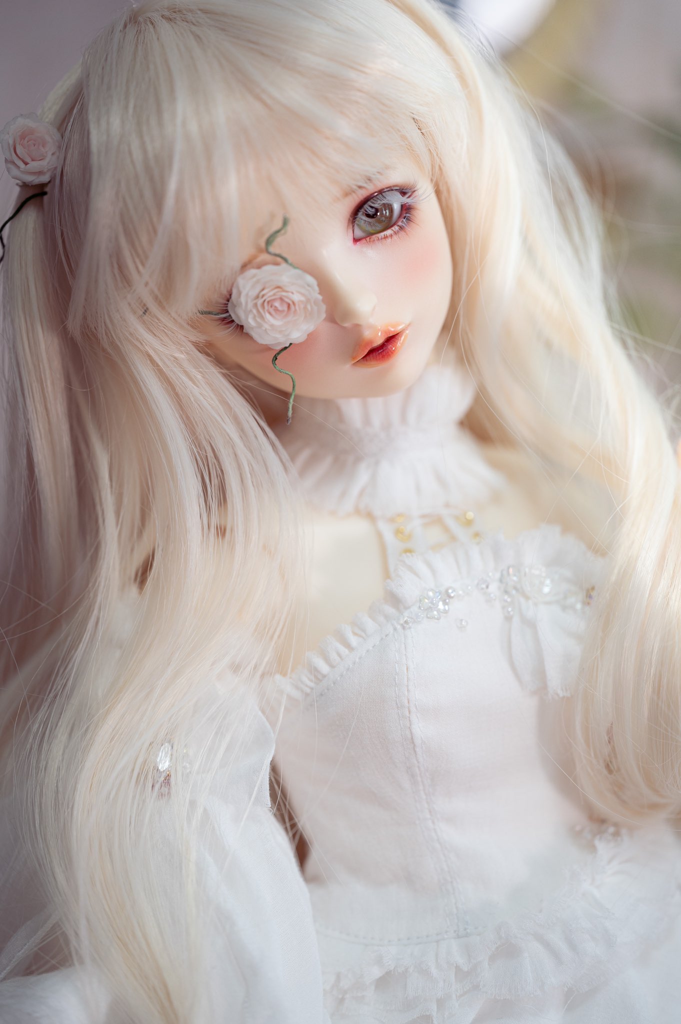 壱子⋆꙳꒰ঌ 放課後 ໒꒱·̩͙ on X: 壱子⋆꙳꒰ঌ 放課後 ໒꒱·̩͙ on X: