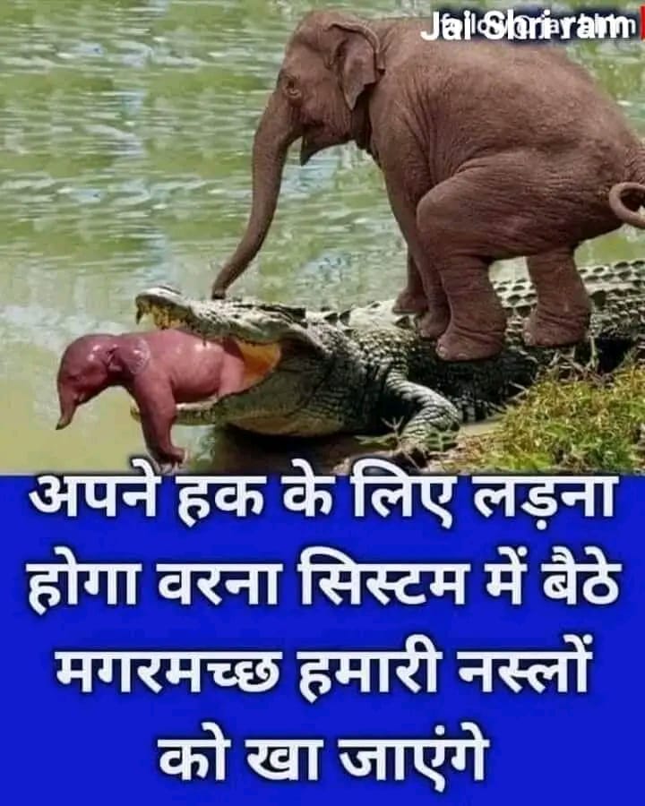 @SanjayBaghel (@sanjayb46346330) on Twitter photo 