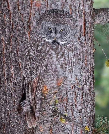 Tamine Retrouvons nous ailleurs tweet media