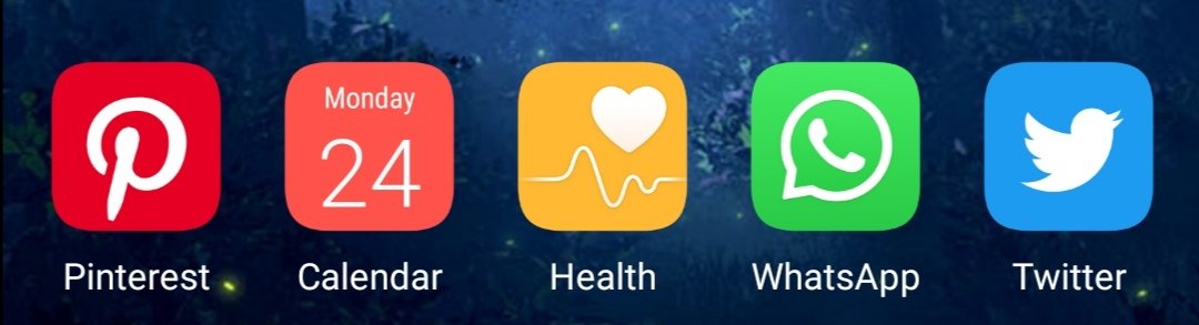 Bye bye birdie, the new ugly X will completely ruin my phone 🌈😅