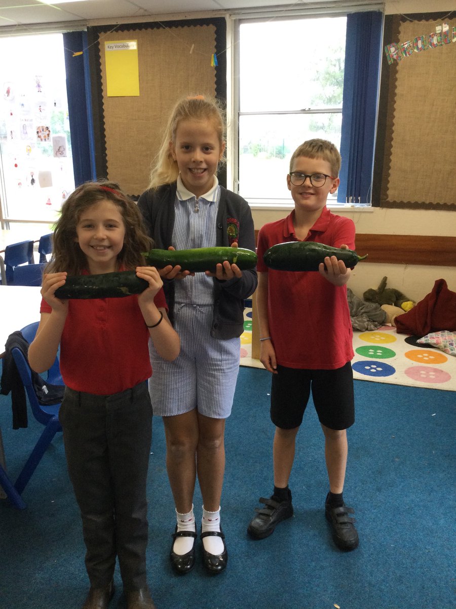 Burford Primary School tweet media