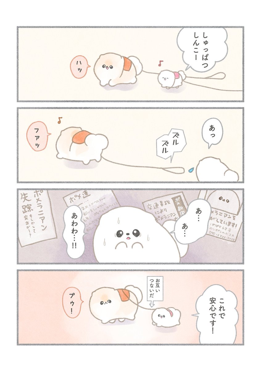 ぽぽちとぱぴち④ ꒰ ՞•ﻌ•՞ ꒱.。o( 自分でおさんぽ行けるかな )  #ポメラニアン #漫画が読めるハッシュタグ