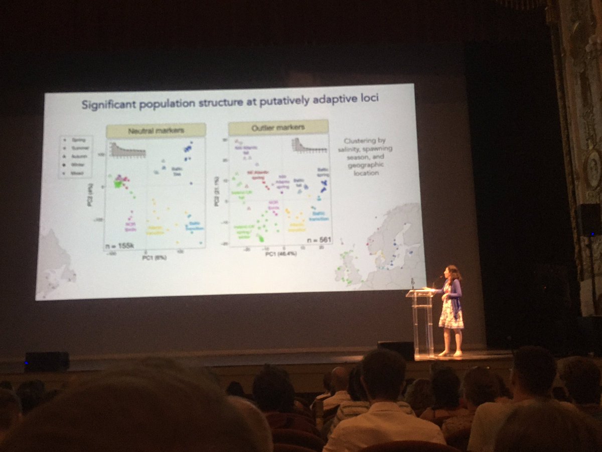 Jan Stefka tweet media