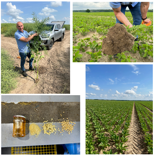 Notre lauréat <a href="/NuffieldFrance/">Nuffield France</a> 2023 <a href="/guillaumetant/">guillaumetant</a> poursuit ses  recherches #Nuffield sur la valeur ajoutée en #grandescultures: cette fois, en Pologne.  Un projet lancé par le lauréat  <a href="/NuffieldFarming/">Nuffield Farming</a> 1990 et Pdt #NuffieldInternational Chris Graf Grote. 
pleinchamp.com/actualite/top-…