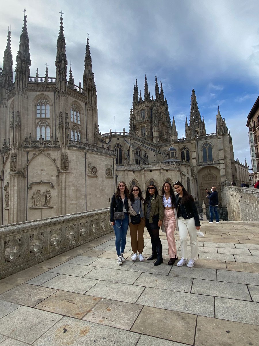 Lauuuris tweet media